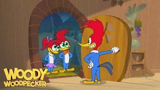 Woody Woodpecker Animated Compilation For Kids! | WildBrain Max