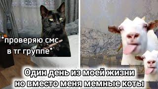 Один день из моей жизни, НО ВМЕСТО МЕНЯ МЕМНЫЕ КОТЫ | CapCut | Prosto_Pelbmenb