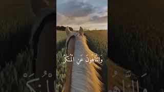 beautiful Recitation Of Quran #quran #shorts #youtubeshorts #islam