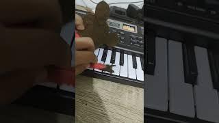 max design pro piano 