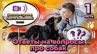 Стрим Насти Бобковой. Вопросы-ответы. Часть 1