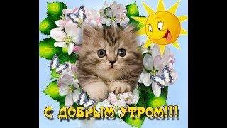 Понедельник. С добрым утром! / Доброго ранку! Понеділок. / Good morning! Monday.