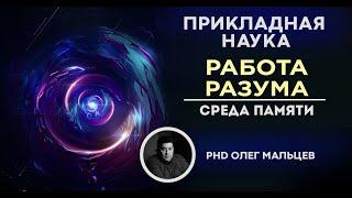 Среда памяти. Операционная среда. Внешняя среда | Работа разума | Олег Мальцев