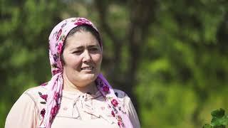 Lassa Tarım Danışmanı İzmir Bölgesi Ziraat Mühendisi