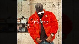 Hell Rell x Dave East x Styles P Sample Type Beat 2025 "Spiders" [NEW]