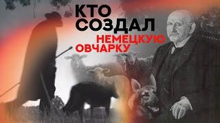 Немецкая Овчарка. Кто создал эту породу? Who created the German Shepherd?