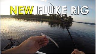 Where to Find Schooling Bass + New Fluke Rig From Forrest Wood Cup