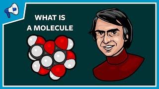 What Is a Molecule?