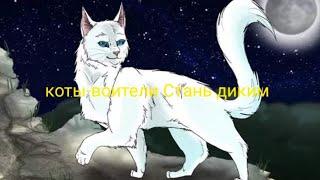 коты-воители Стань диким 4 серия