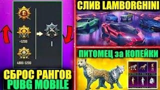 СБРОС РАНГОВ в PUBG MOBILE! LAMBORGHINI ВОЗВРАЩАЮТСЯ! ПРЕМИУМ КЕЙС! ПИТОМЕЦ за КОПЕЙКИ в ПУБГ МОБАЙЛ