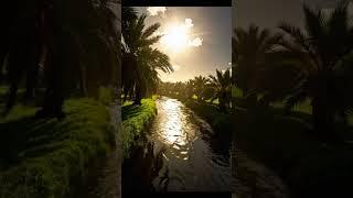 Power of Dhikr – Transform Your Heart with These 4 Simple Phrases #peace #dhikr #shorts