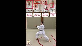 Jion SKO Karate WR Kata Shotokan