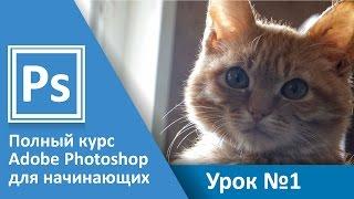 Урок 1 -  Введение. Полный курс Adobe Photoshop с нуля | Graphic Hack