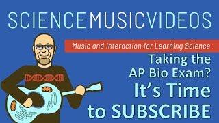 AP exam studying strategies, # 2