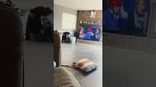 #boredgamer