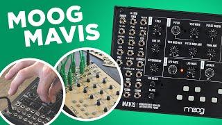 Moog Mavis Semi Modular Analog Synthesizer Voice : DIY Standalone Synth + Eurorack Module