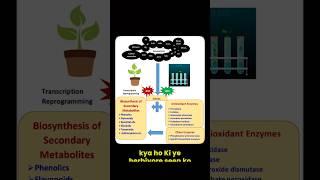 Oxygen, Food, Medicine: The Magic of Plants Explained #utkarshgaurpodcast #utkarshgaurclips