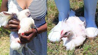 Woman Trampling One Chicken