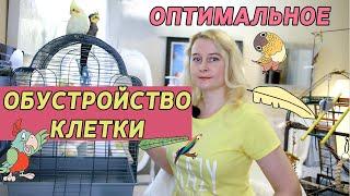 ОПТИМАЛЬНОЕ ОБУСТРОЙСТВО КЛЕТКИ ПОПУГАЯ | КАК РАЗМЕСТИТЬ ЖЕРДОЧКИ ИГРУШКИ И КОРМУШКИ В КЛЕТКЕ