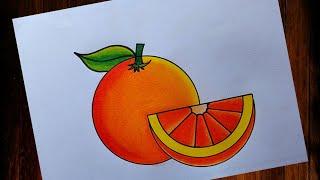 How to draw Orangeeasy steps| Easy orange drawing | Orange Fruits drawing