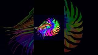 Black light nautilus painting creation process #art #blacklightart #nautilus