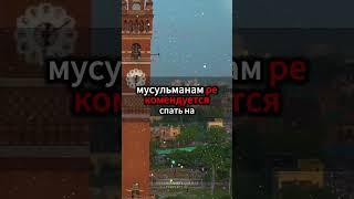 Запрещённый способ сна: почему Пророк Мухаммед (САВ) запрещал спать на животе #СонНаЖивоте