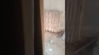 mesum di belakang rumah langsung kena grebek #viral #viralvideo #trandingnow