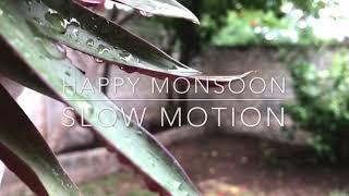 Happy Monsoon | Slow Motion | Relaxing | Meditating | Videography by Kaushal Desai