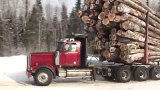 The biggest wood load you will ever see!