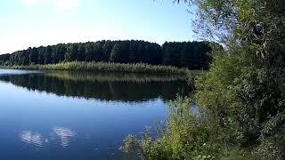 Озеро "Победа" город Анжеро-Судженск Lake "Pobeda" city of Anzhero-Sudzhensk