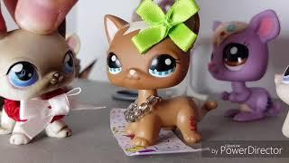 LPS together | Ep 1 (my one true love)  pilot| LPS stellar