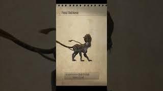Feral Rertriever - Final Fantasy XII - by Lord Stark