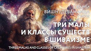 Сатсанг "Три малы и классы существ в шиваизме", Свами Вишнудевананда Гири