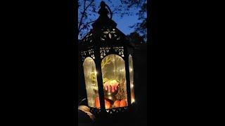 Interpreting Throwback Goosebumps Ambience Halloween Ambience ASMR Spooky Sounds Goosebumps Monsters