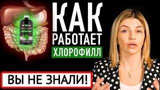 12 полезных свойств хлорофилла для организма, кожи и профилактики болезней. Покупки iHerb  (Айхерб)