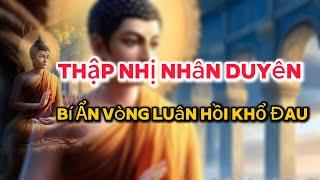 Thập Nhị Nhân Duyên - Vòng Luân Hồi và Con Đường Giải Thoát #đạolýnhânsinh #phậtgiáo #loiphatday