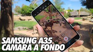 Samsung A35 - Camara a Fondo