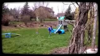 Backyard Agility Fun  (Created with @Magisto)