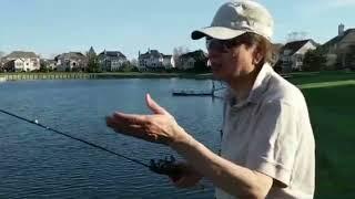 Use BFS reel to catch bass