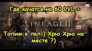 Lineage 2M Где качатся на 60 лвл  Гайд Топ Споты Для Фарма Что Фармить Где L2M