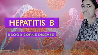 MEDICAL MICROBIOLOGY II HEPATITIS B II BLOOD BORNE DISEASE II