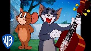 Tom & Jerry in italiano | Buon anno!  | WB Kids