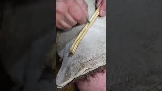 Bone Needle Extraction Using A Stone Age Burin #primitiveskills #stonetools #primitivetechnology