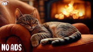 Anti-Anxiety Music For Cat: Relaxing Music to Keep Your Kitty Calm and Happy And Sleep Better 