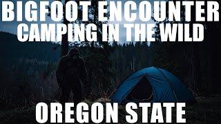 BIGFOOT ENCOUNTER AND EXPERIENCES WHILE CAMPING IN THE WILDERNESS IN OREGON STATE (EYE-SIGHTING)