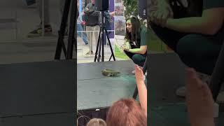 Animal show Lizards, snakes and other wild animals in Vernon, BC #animalshow #lizard #wildlife