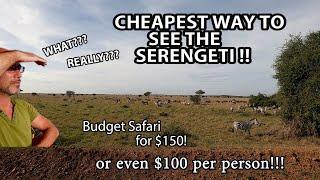 Now or Never: Affordable Serengeti Safari Guide | Budget Travel Tips