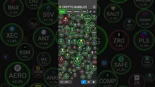 Positive CPI data and Crypto Pump| Telugu Crypto Badi