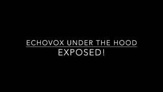 Echovox Under the Hood - Exposed!