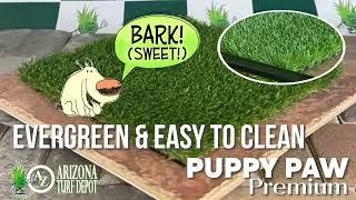 AZ Turf Depot PUPPY PAW PREMIUM - The Ultimate Pet-Friendly Turf!